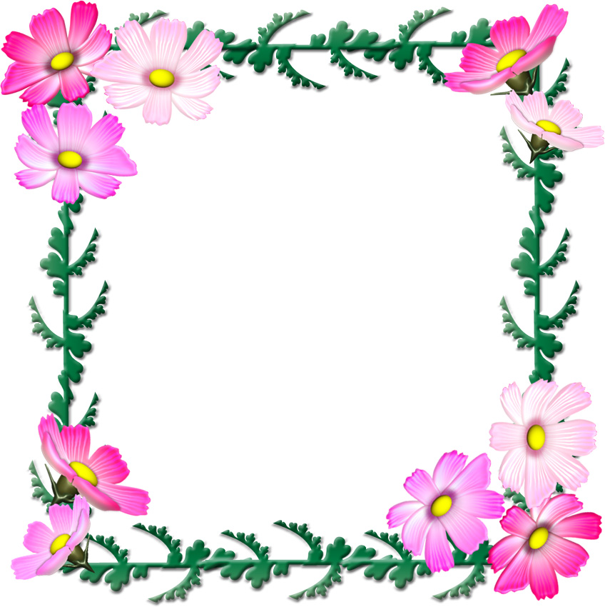 コスモスの花の飾り枠イラスト