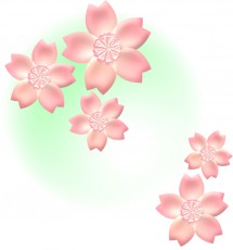 桜の花イラスト・ミントの霞背景