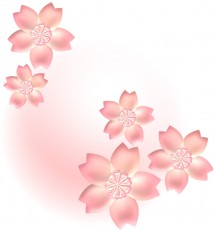 桜の花イラスト・ピンクの霞背景