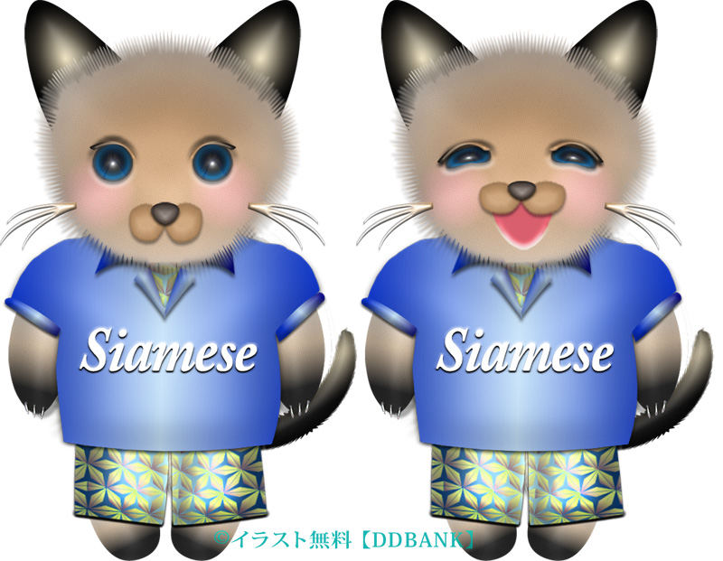 夏服を着た男の子のシャム猫イラスト