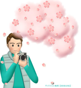 桜をカメラで撮影する男性のイラスト