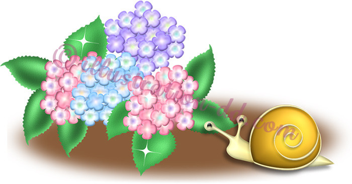 紫陽花（あじさい）とカタツムリのイラスト