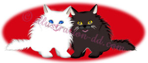 お洒落な黒白ペルシャ猫・赤背景のイラスト