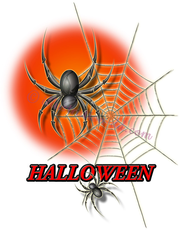 ハロウィンの蜘蛛と蜘蛛の巣のイラスト
