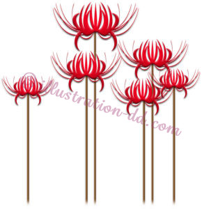 彼岸花（ひがんばな）のイラスト