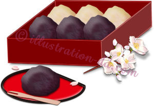 おはぎの箱と桜のイラスト